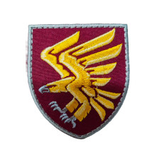 Шеврон 95 ДШВ Повседневный