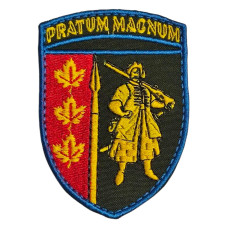 Шеврон 65 Омбр
